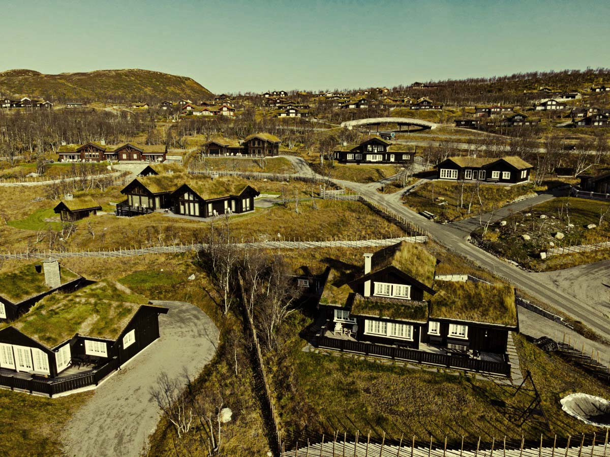 Descubra soluciones de cubiertas verdes y lastradas